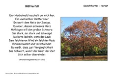Blätterfall-Morgenstern.pdf